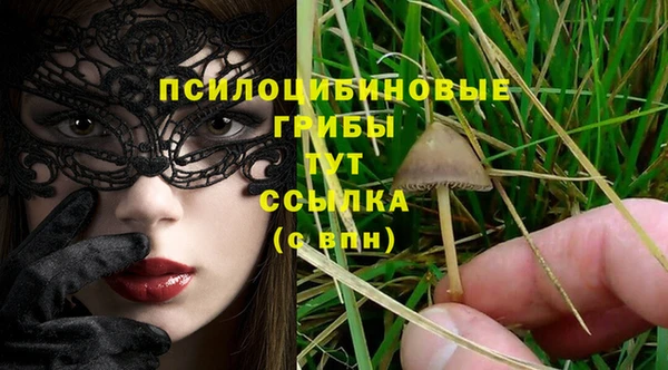 гашиш Саяногорск