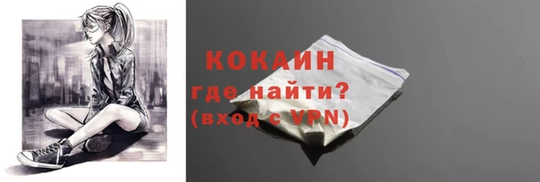 не бодяженный Бородино