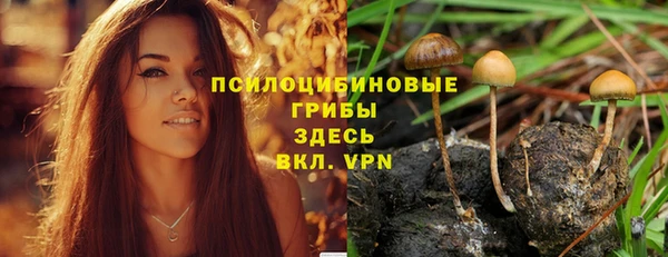 не бодяженный Бородино