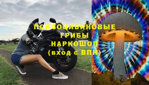 не бодяженный Бородино