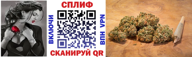 Бошки Шишки ГИДРОПОН  где купить   Монино 
